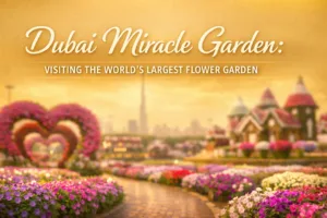 Visitors exploring vibrant floral displays at Dubai Miracle Garden worlds largest flower attraction